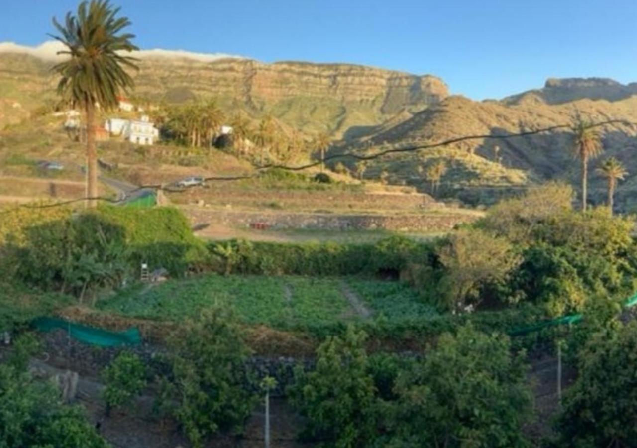 Casa Maria - Finca Medina Alojera Ngoại thất bức ảnh
