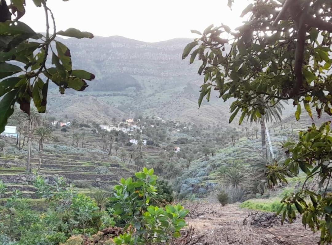 Casa Maria - Finca Medina Alojera Ngoại thất bức ảnh